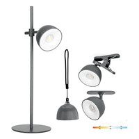 Lampka biurkowa LED ORBI 2,5W CCT szara Laitica