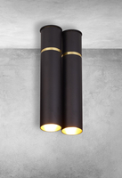 Milagro - Lampa Wisząca LYNX 2xE14