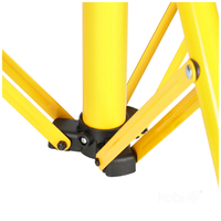 Naświetlacz LED TIGRA S 2x30W 4000K IP65 Kobi