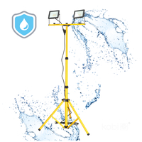 Naświetlacz LED TIGRA S 2x30W 4000K IP65 Kobi