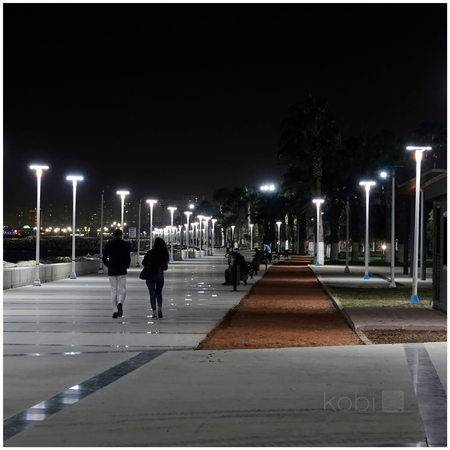 Oprawa parkowa Solar LED LUVIA 15W 6500K IP54 LED2B