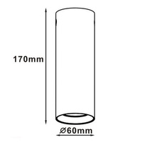 Manacor oczko czarne  ze złotym ringiem 17 cm LP-232/1D - 170 BK/GD