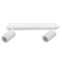 Spot Parma 2 biały 2xGU10 LED CCT