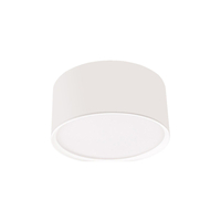 Oprawa natynkowa Kendal biała IP54 LED CCT
