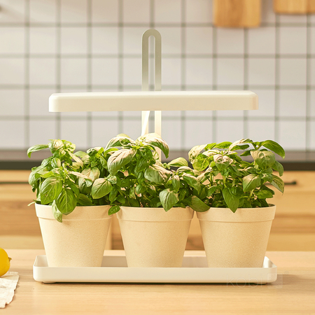 Lampa do roślin LED BLOOM 20W 3500K Kobi Design