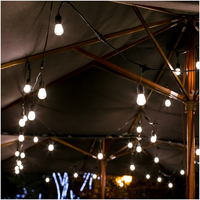 Girlanda MIMOSA LED SET 20m 20x1W E27 Kobi