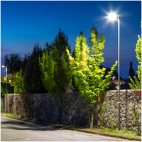 Oprawa drogowa LED VESPA PRO 40W 4000K IP66 Kobi Pro