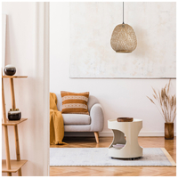 Lampa wisząca BOHO BARSO 1xE27 Kobi Design