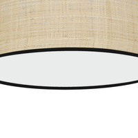 Milagro - MARSHALL NEW / RATTAN 2xE27 Ø40cm