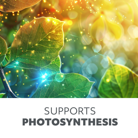 Lampa do roślin LED VITARO 4 ST 30W Kobi Design