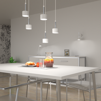 Milagro - Lampa wisząca ARENA WHITE/SILVER 5xGX53
