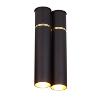 Milagro - Lampa Wisząca LYNX 2xE14