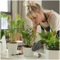 Lampa do roślin LED BLOOM 12W 4500K Kobi Design