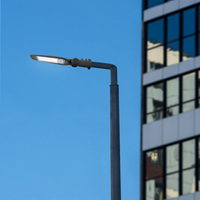 Lampa uliczna LED Videx Leya 100W obrotowa