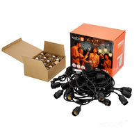 Girlanda MIMOSA LED SET 20m 20x1W E27 Kobi