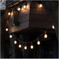 Girlanda Solar LED STARLIGHT NEO 10m 20x0,042W E27 LED2B