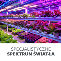 Lampa do roślin LED VITARO 4 ST 30W Kobi Design