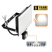 Naświetlacz LED DELYO MHNC 100W 4000K IP54 Kobi Premium