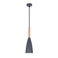 LAMPA WISZĄCA TROSA 1 SZARY