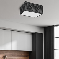 Milagro - Lampa Sufitowa SATINO SILVER 2xE27