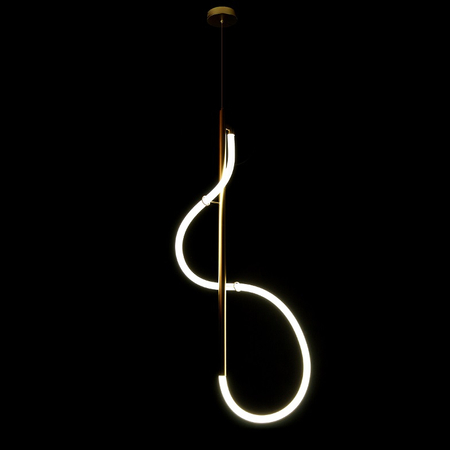 Lampa Led wężyk 21,5W DL-I08 + Pilot VERA