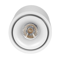 Ruchomy Spot LED EZ-CL06A-12 12W 3000K Biały