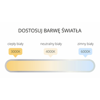 Plafon Georgia 60 cm czarny LED CCT
