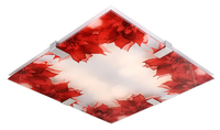 RAPSODY LAMPA SUFITOWA PLAFON 31X31 1X9W LED KWADRAT