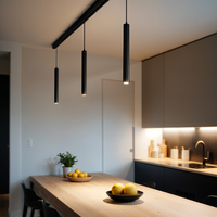 Sopel do szyn magnetycznych 10W 3000K DDDX-B10